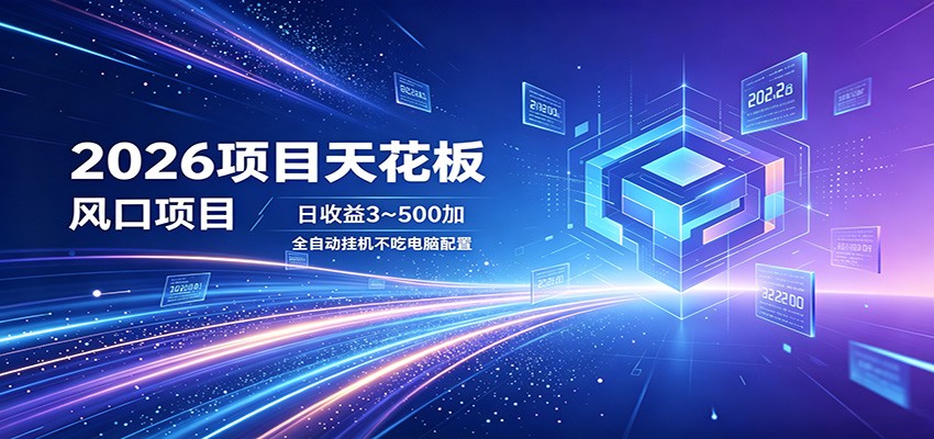 2026项目天花板，风口项目，日收益3~500+全自动挂机，不吃配置-dabaowz