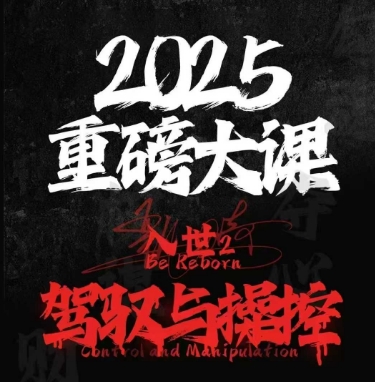 2025重磅大课，入世2，驾驭与控制-dabaowz