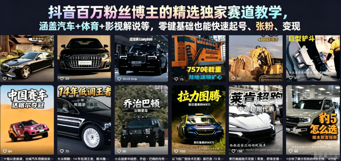 抖音百万粉丝博主的精选独家赛道教学，涵盖汽车+体育+影视解说等，零基础也能快速起号、涨粉、变现-dabaowz