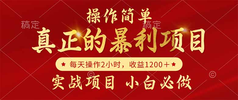 真正的暴利项目，操作简单，每天收益1200＋，自己做老板-dabaowz