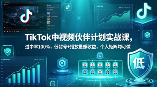 TikTok中视频伙伴计划实战课，过中率100%，低封号+播放量賺收益，个人矩阵均可做-dabaowz