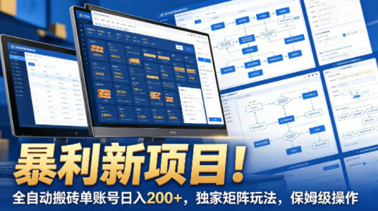 暴利新项目！全自动搬砖单账号日入200+，独家矩阵玩法，保姆级操作【揭秘】-dabaowz