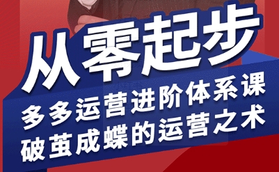 拼多多运营进阶系统课，从零起步，多多运营进阶体系课，破茧成蝶的运营之术(更新26年4月)-dabaowz