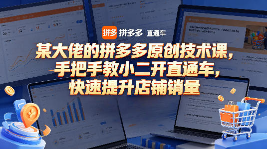 某大佬的拼多多原创技术课，手把手教小二开直通车，快速提升店铺销量-dabaowz