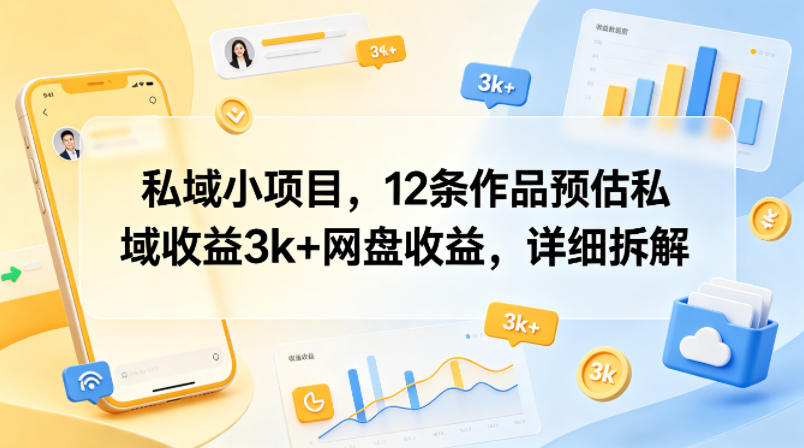 私域小项目，12条作品预估私域收益3k+网盘收益，详细拆解-dabaowz