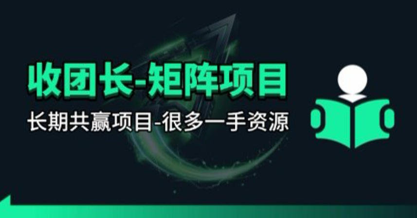 【团长合作】视频矩阵项目_招发手矩阵+剪辑师，共赢项目【揭秘】-dabaowz