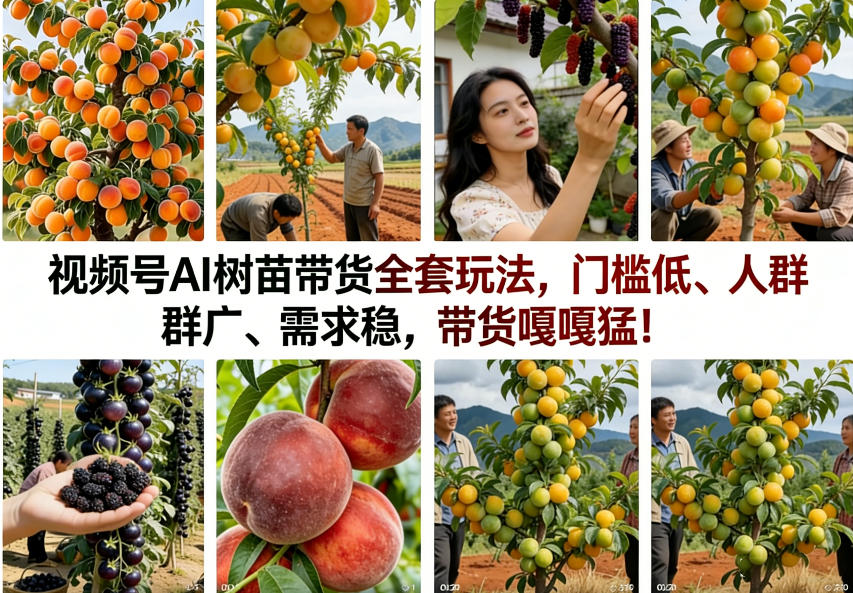 视频号AI树苗带货全套玩法，门槛低、人群广、需求稳，带货嘎嘎猛！(更新0401)-dabaowz