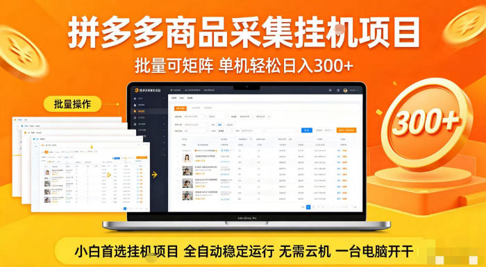 拼多多商品信息全自动采集项目，批量可矩阵，单机轻松日入300+，无需云机一台电脑开干【揭秘】-dabaowz