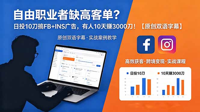 自由职业者缺高客单？日投 10 刀搞 FB+INS 广告，有人 10 天赚 3000 刀！【原创双语字幕】-dabaowz
