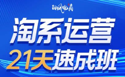 白凤电商·淘系运营21天速成班(更新4月)-dabaowz