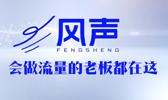 董十一·风声短视频AI获客年度会员-dabaowz