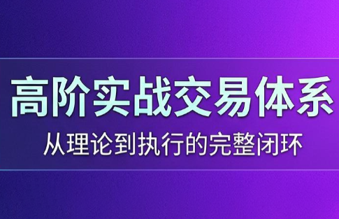 高老师·高阶实战交易体系(更新6月)-dabaowz