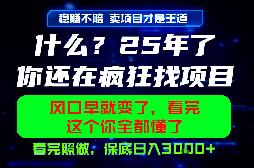 26年，请不要疯狂的找项目做了！卖项目才是真的稳賺不赔，看完照做，保底日入1k+【揭秘】-dabaowz