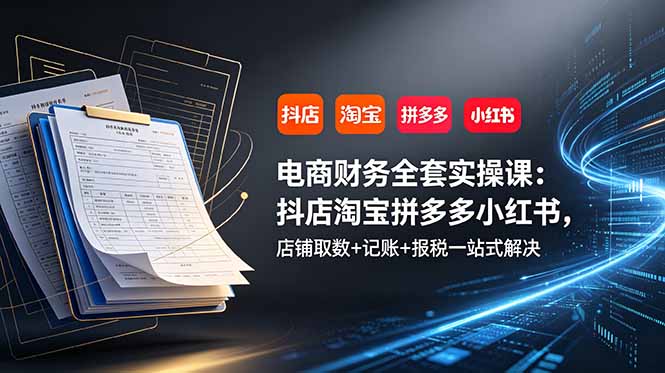 电商财务全套实操课：抖店淘宝拼多多小红书，店铺取数+记账+报税一站式解决-dabaowz