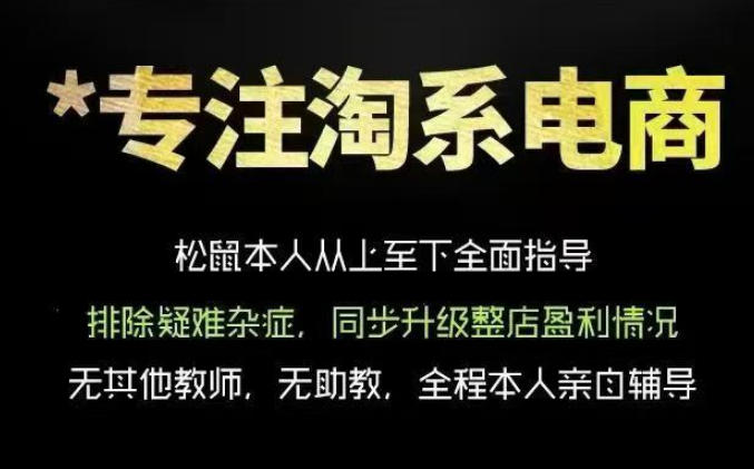 松鼠会电商VIP课程，从基础布局到高阶优化，助你掌握淘宝运营逻辑，提升店铺流量与转化-dabaowz