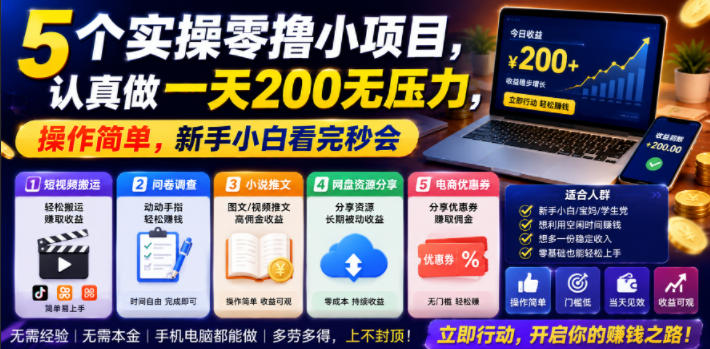 5个实操零撸小项目，认真做一天200无压力，操作简单，新手小白看完秒会【揭秘】-dabaowz