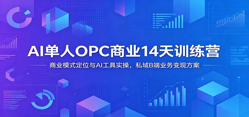 AI单人OPC商业14天训练营：商业模式定位与AI工具实操，私域B端业务变现方案-dabaowz