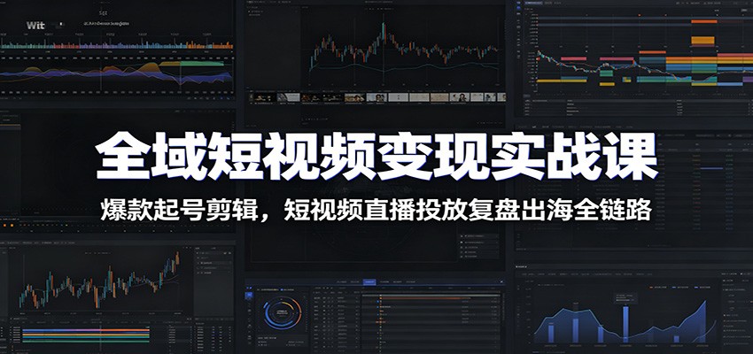 全域短视频变现实战课：爆款起号剪辑，短视频直播投放复盘出海全链路-dabaowz