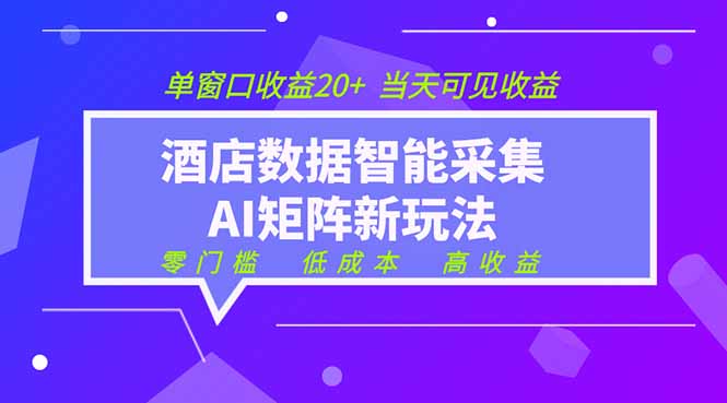2026酒店数据采集ai智能矩阵新风口  低成本   高收益   当天见收益   单窗口20+-dabaowz