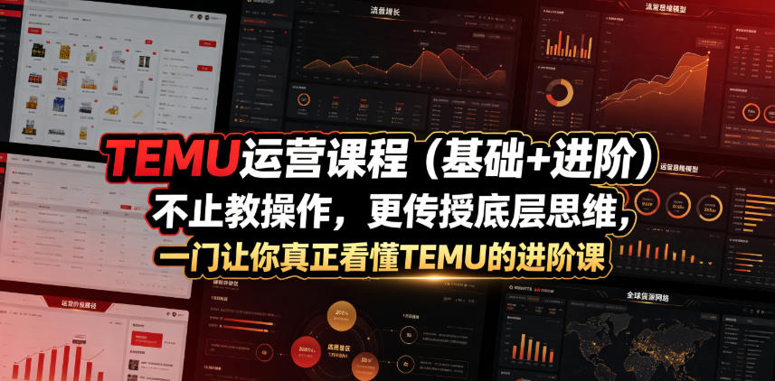 TEMU运营课程(基础+进阶)，不止教操作，更传授底层思维，一门让你真正看懂TEMU的进阶课-dabaowz