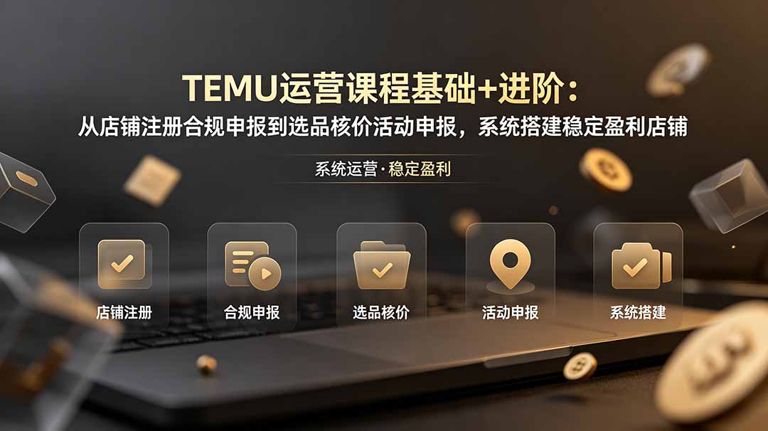 TEMU运营课程(基础+进阶-dabaowz