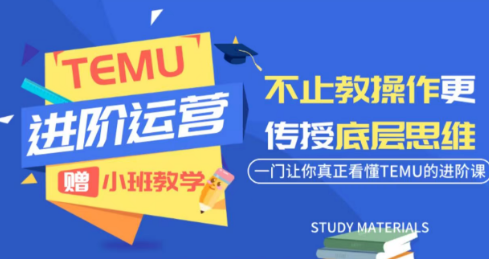 阿卡林·TEMU运营课程(基础+进阶)-dabaowz