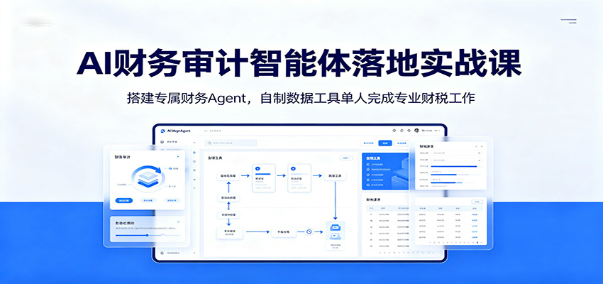 AI财务审计智能体落地实战课：搭建专属财务Agent，自制数据工具单人完成专业财税工作-dabaowz