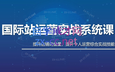 白老师·国际站运营实战系统(高质量询盘增长课)(更新)-dabaowz
