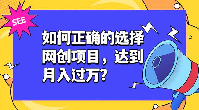 如何正确的选择网创项目，达到月入过万？，本课程教你正确选择项目。-dabaowz
