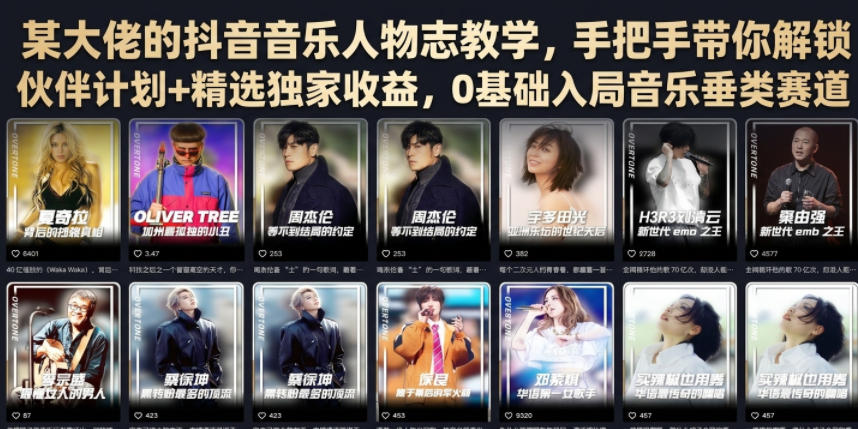 某大佬的抖音音乐人物志教学，手把手带你解锁伙伴计划+精选独家收益，0基础入局音乐垂类赛道-dabaowz