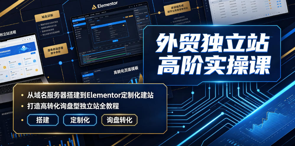 外贸独立站高阶实操课｜从域名服务器搭建到Elementor定制化建站，打造高转化询盘型独立站全教程-dabaowz