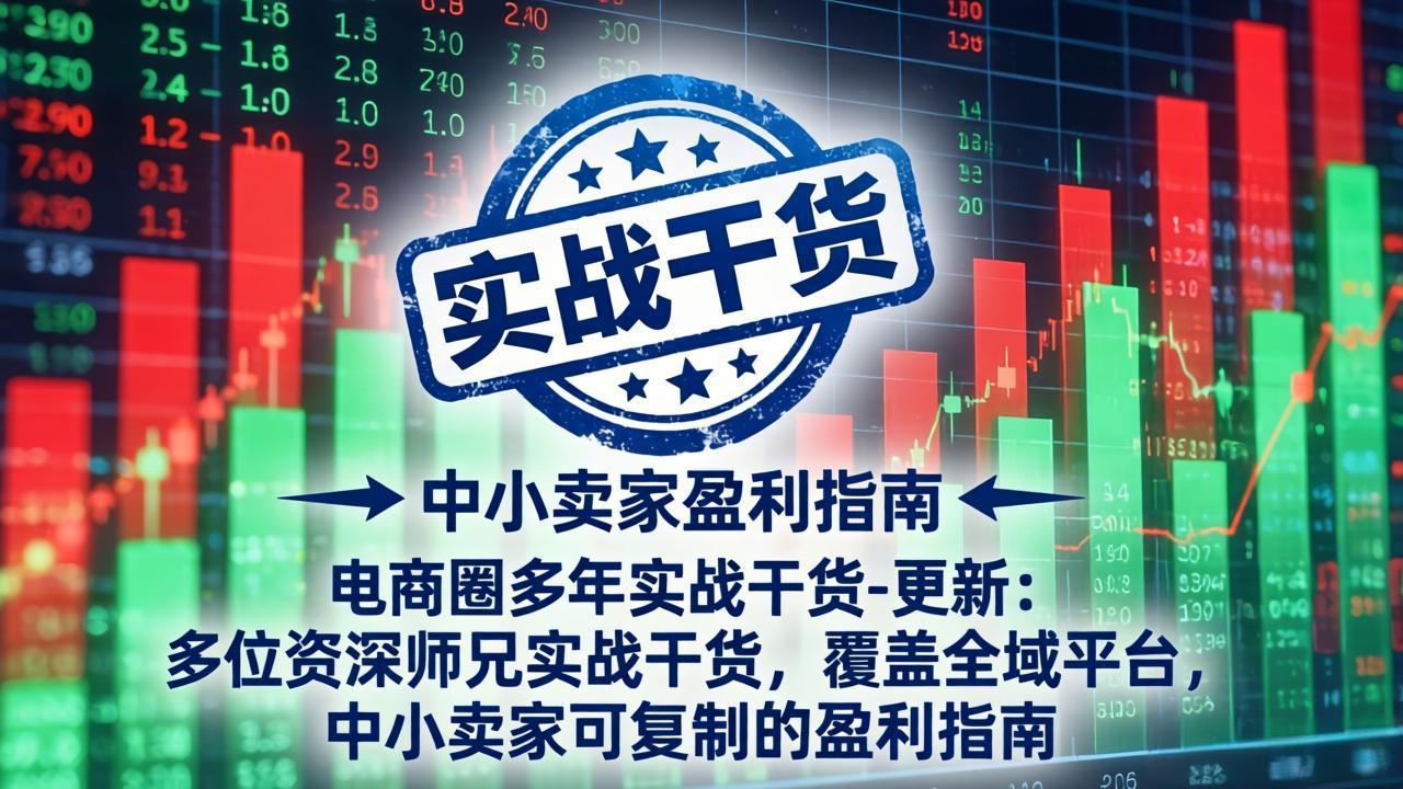 电商圈多年实战干货-更新2026：多位资深师兄实战干货/覆盖全域平台，中小卖家可复制的盈利指南-dabaowz