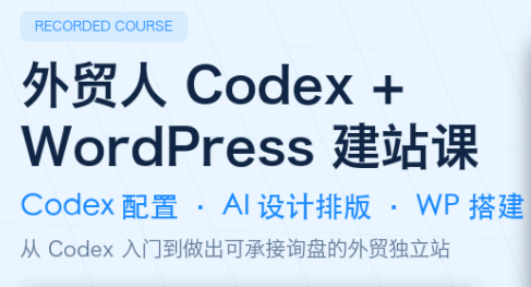 外贸人Codex + WordPress建站课-dabaowz