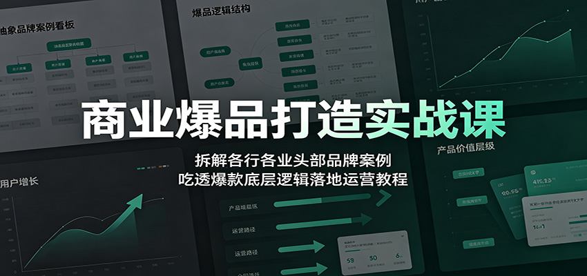 商业爆品打造实战课：拆解各行各业头部品牌案例，吃透爆款底层逻辑落地运营教程-dabaowz