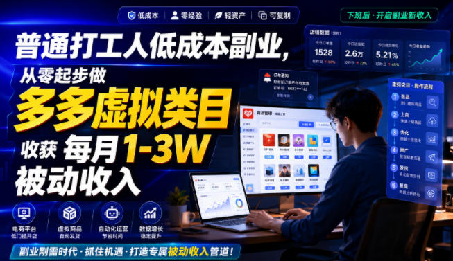 普通打工人低成本副业，从零起步做多多虚拟类目，收获每月1-3W被动收入【揭秘】-dabaowz